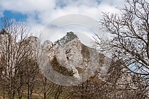 Spring nature in rocky forest of Vrsatec village of Slovakia