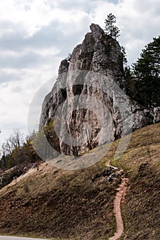 Jarní příroda ve skalnatém lese obce Vršatec na Slovensku