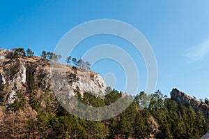 Spring nature in rocky forest of Vrsatec village of Slovakia