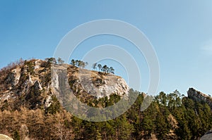 Spring nature in rocky forest of Vrsatec village of Slovakia