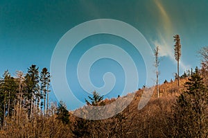 Spring nature in rocky forest of Vrsatec village of Slovakia