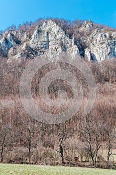 Spring nature in rocky forest of Vrsatec village of Slovakia