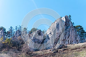 Jarní příroda ve skalnatém lese obce Vršatec na Slovensku