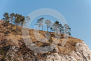 Spring nature in rocky forest of Vrsatec village of Slovakia