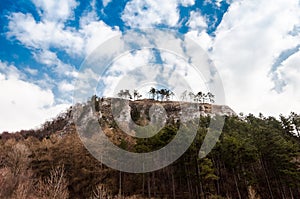 Spring nature in rocky forest of Vrsatec village of Slovakia