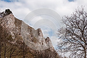 Spring nature in rocky forest of Vrsatec village of Slovakia