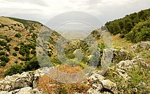 Spring Nature view- Galilee Mountain.