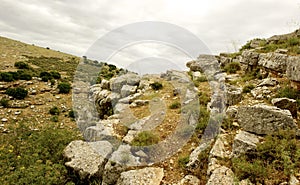 Spring Nature view- Galilee Mountain photo
