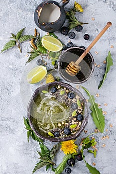 Spring nettle and dandelion smoothie