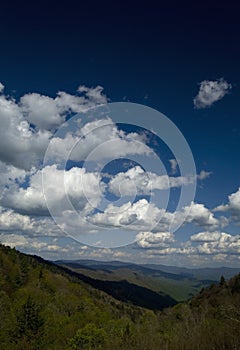 Spring from Newfound Gap Rd, Great Smoky Mtns NP