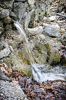 Spring of Nitra river, Slovakia