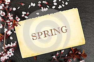 Spring note