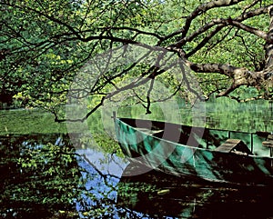 The Spring of Ohrid.