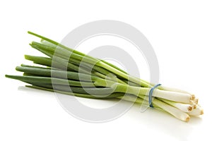 Spring onion photo