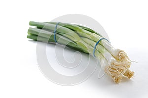 Spring onion