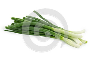 Spring onion