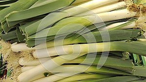 Spring onion cebolleta natural vegetable