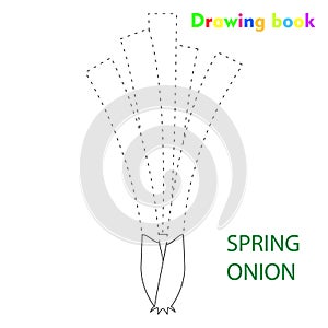 Spring onion coloring and drawing book vegetable design illustration