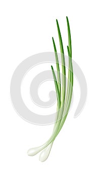 Spring onion, green vegetables, onion flavor