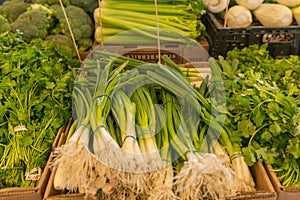 Spring onion and herbs at farmers market