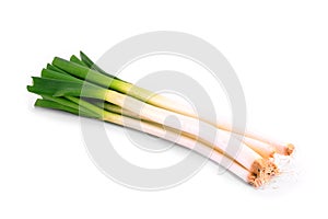 Spring onion isolated (scallions)