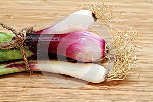 Spring Onion Macro photo