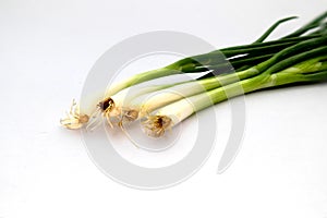 Spring onion on a white background