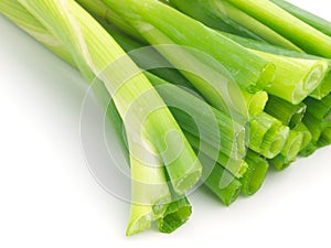 Spring Onions