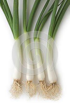 Spring Onions