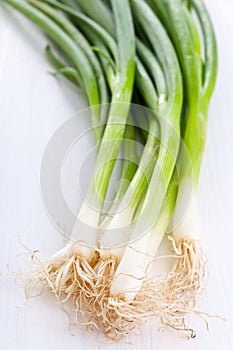 Spring onions