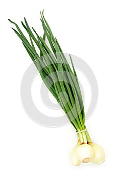 Spring onions