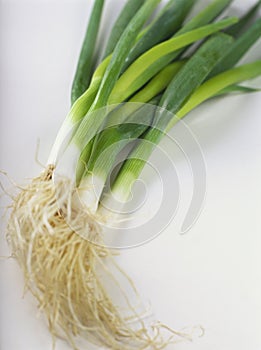 Spring onions