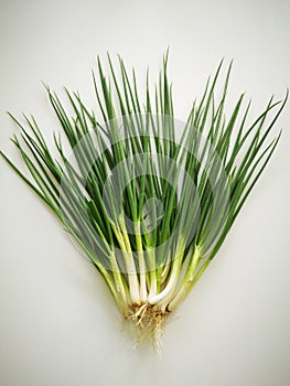 Spring onions, also known as scallions, possess a distinctive appearance with long, slender green leaves and a bulbous white stem