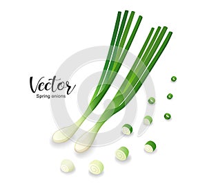Spring onions fresh and spring onions shredded, design isolated on white background