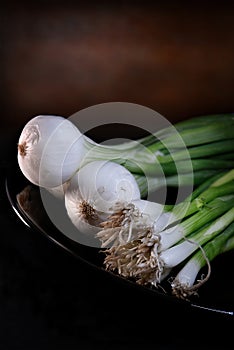 Spring Onions - Scallions photo