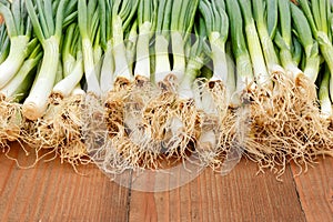 Spring onions on wooden board