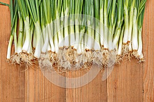 Spring onions on wooden board