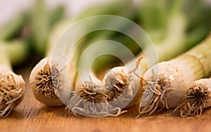 Spring Onions on Wooden Surface