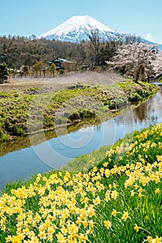 Spring of Oshino Hakkai countryside village and Fuji Mountain in Yamanashi, Japan