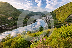 Primavera a través de la roca fenómeno 