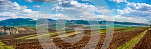 spring panorama of arable fields stretching to horizon under bright blue sky with clouds on distant hills. Agriculture and