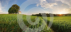Jarní panorama krajina krajina s pšeničné pole