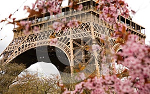 Spring in Paris