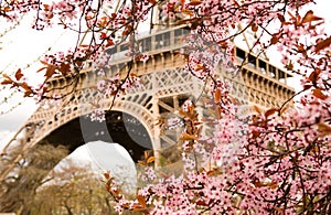 Spring in Paris