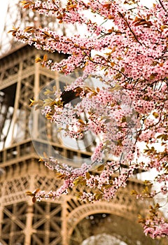 Spring in Paris