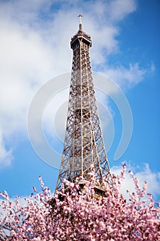 Spring in Paris