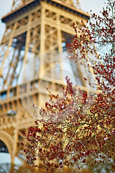 Spring in Paris