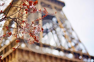 Spring in Paris