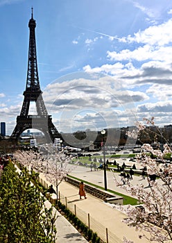 Spring in Paris - view of the Eiffel Tower