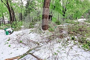 Spring park in the aftermath of a snowfall